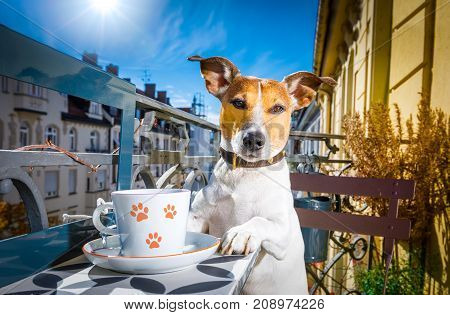 Dog Having A Coffee Break