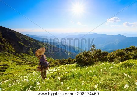 The lawn with white daffodils in the high mountains landscapes. The girl in overknees stockings romantic dress back sack and straw hat. Unbelievable summer landscape.
