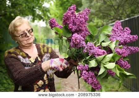 Pensioner Woman In Gloves With Secator Smell Lilak Flowers