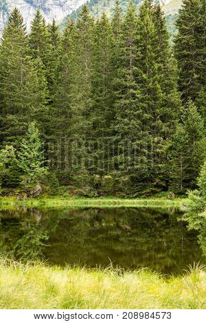 Small Forest Lake In Alpen Mountains, Place For Relaxation And Tranquil Vacation