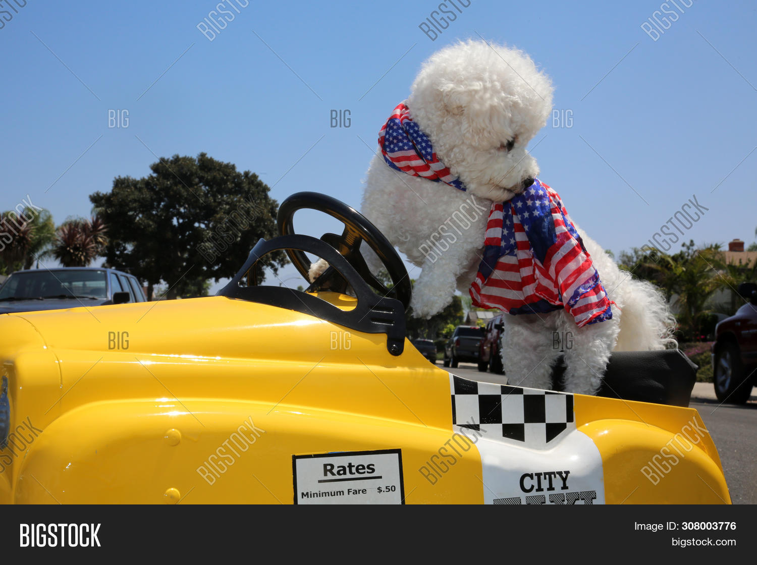 Dog Taxi Pedal Car. Image & Photo (Free Trial) Bigstock