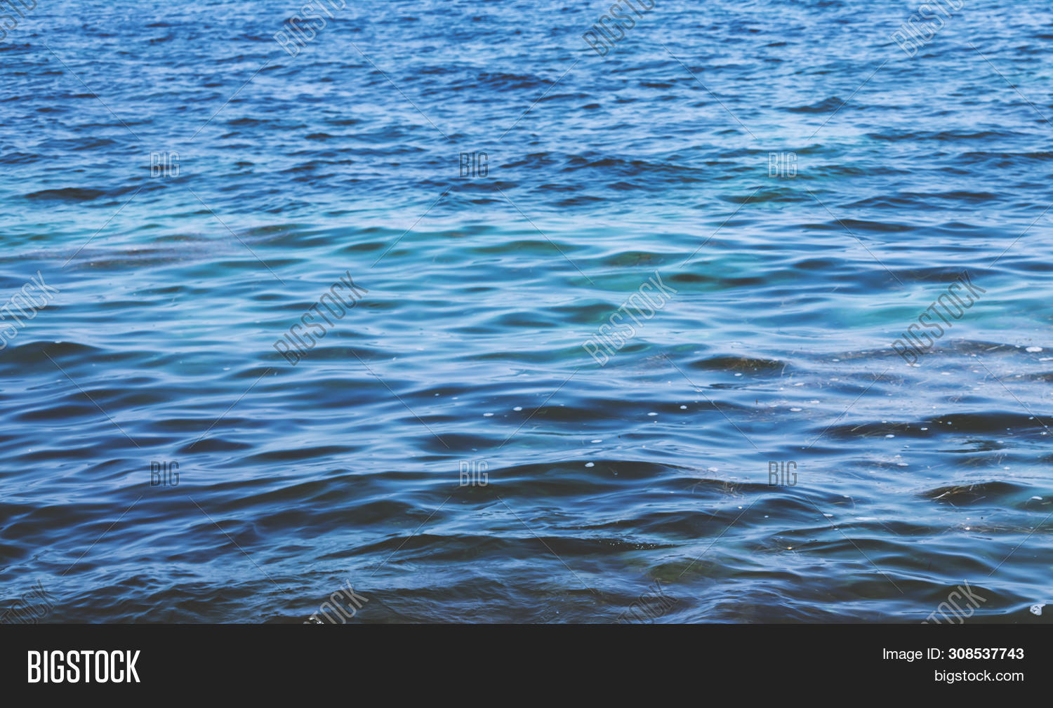 Background Transparent Image & Photo (Free Trial) | Bigstock