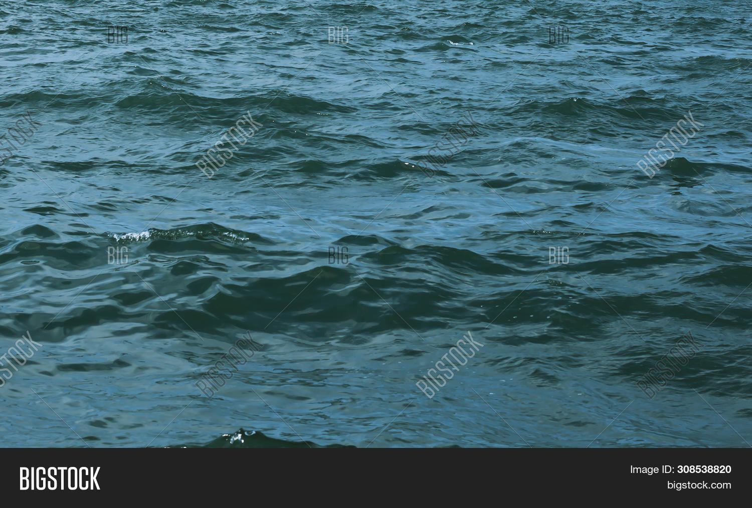 Background Transparent Image & Photo (Free Trial) | Bigstock