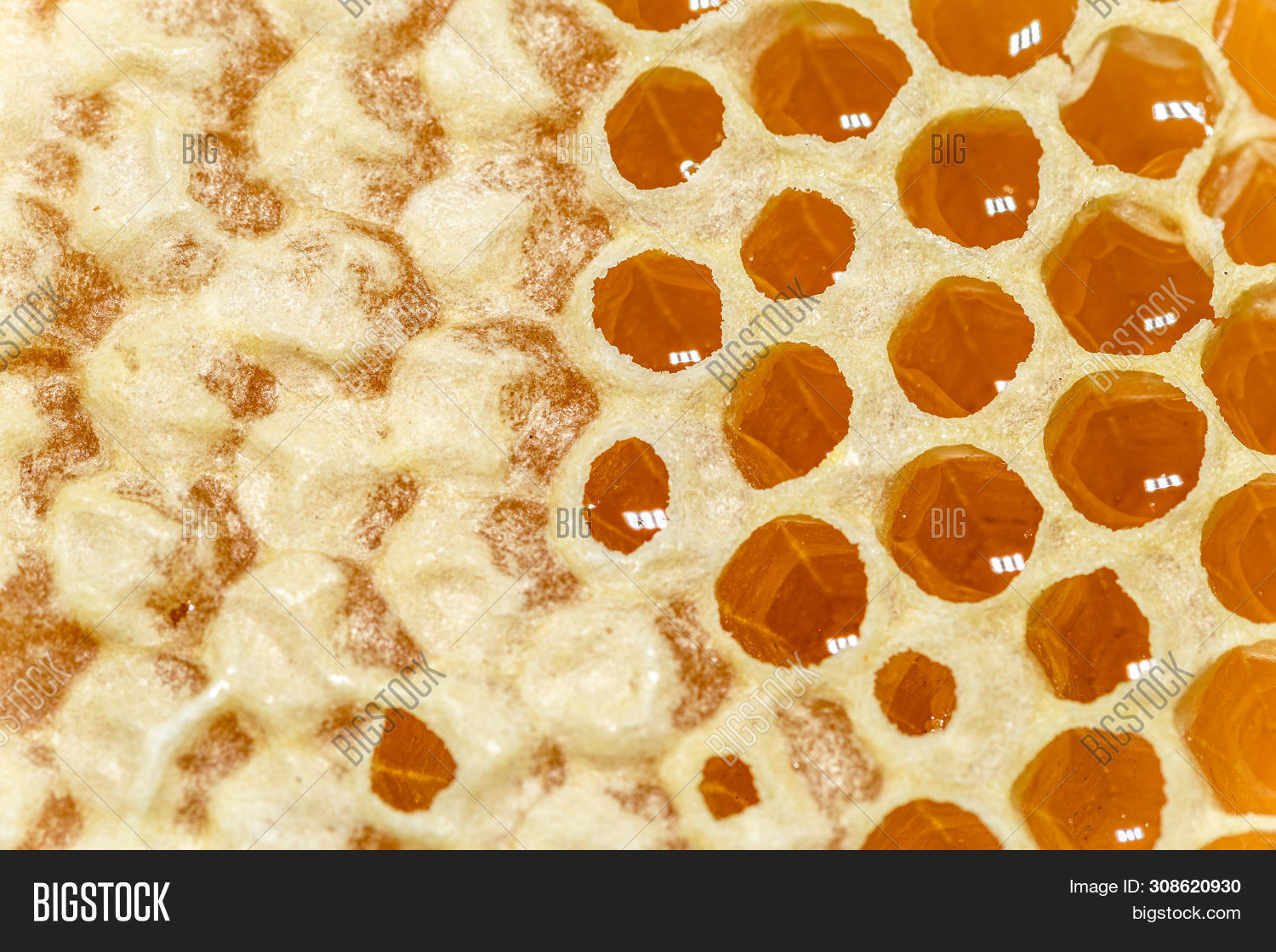 Natural Image & Photo (Free Trial) Bigstock