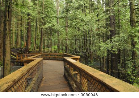 Lynn Valley Les