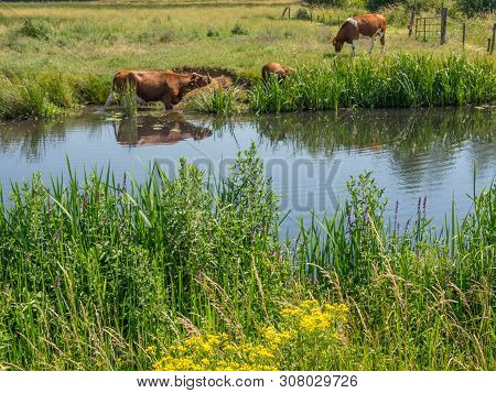 ulft in the netherlands and the river dinkel
