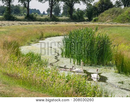 summer in the small City of ulf in the netherlands