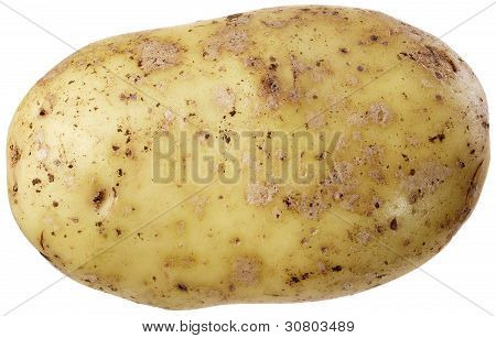 Una papa grande