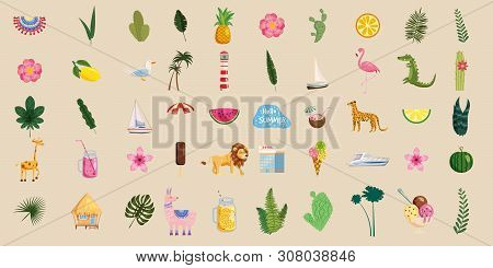 Set Of Cute Trendy Summer Icons Food, Drinks, Exotic Plants, Flowers, Boats, Animals, Palm Leaves, F