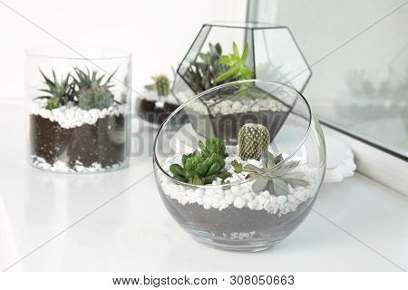 Glass Florariums With Different Succulents On Windowsill, Space For Text