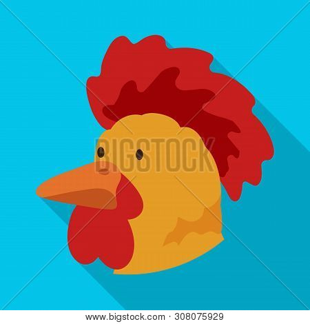 Isolated Object Of Cock And Face Symbol. Collection Of Cock And Husbandry Vector Icon For Stock.