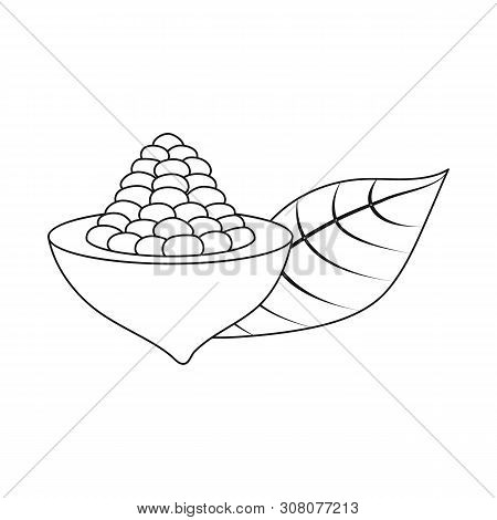 Vector Design Of Seed And Chocolate Icon. Set Of Seed And Fresh Stock Symbol For Web.
