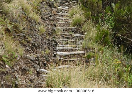 Way To The Top Of Muhavara Vulcano