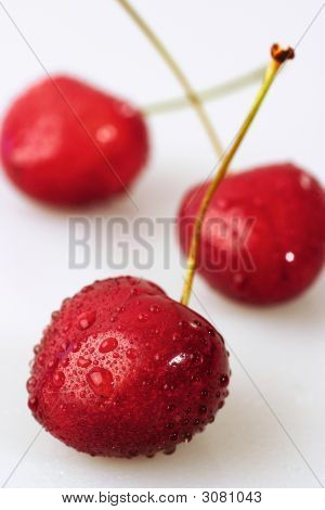 Třešeň