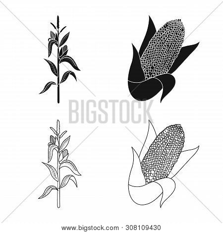 Vector Illustration Of Cornfield And Vegetable Sign. Set Of Cornfield And Vegetarian Stock Vector Il