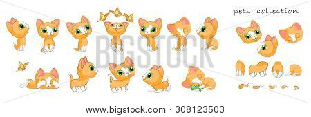 Cute Kittens Cat Kitten Red Collection Vector