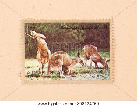 United Arab Emirates - Circa 1980: A Stamp Printed In The Uae Shows Kangaroes, Circa 1980