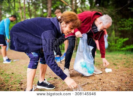 Group Of Fit People Picking Up Litter In Nature, A Plogging Concept.