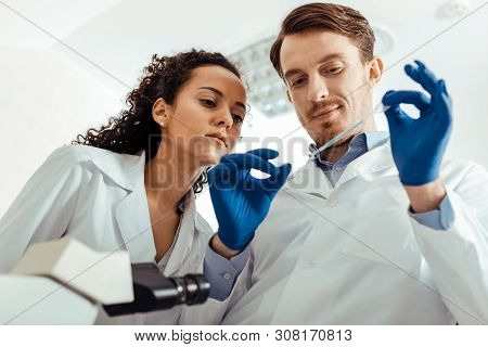 Low Angle Of Positive Professional Scientists At Work