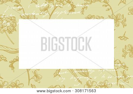 Collection Of Hand Drawn Flowers And Plants. Botany. Set. Vintage Flowers. Black And White Illustrat