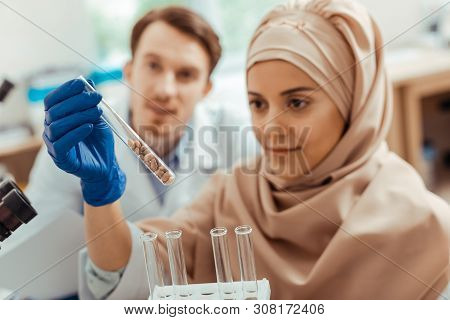 Selective Focus Of A Test Tube With Seeds