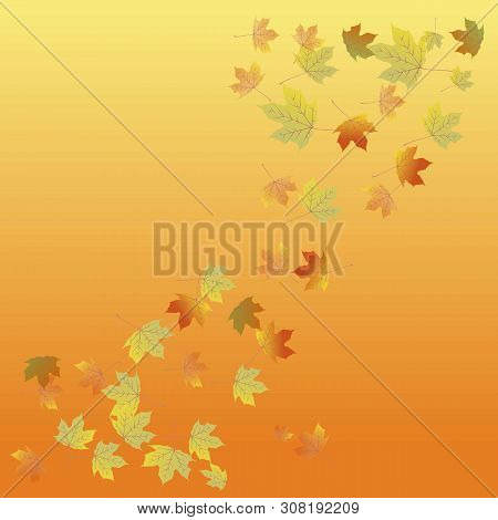 Fallen Autumn Leaves On The Orange Background