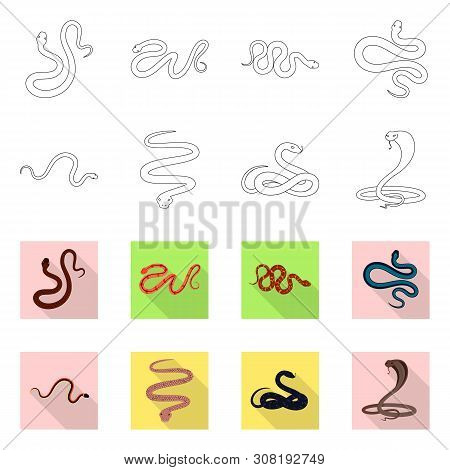 Vector Design Of Mammal And Danger Sign. Collection Of Mammal And Medicine Vector Icon For Stock.