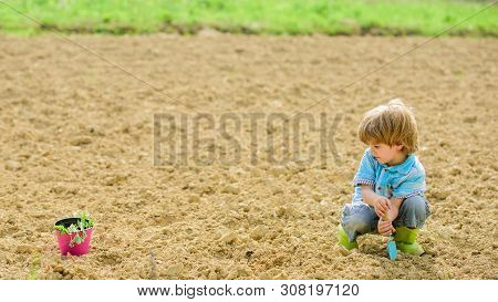 Natural Soil. New Technology In Farming. Small Kid Planting A Flower. Ecology Life. Eco Farm. Human 