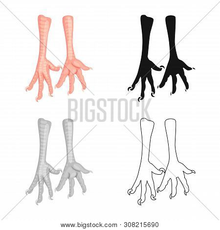 Vector Illustration Of Paws And Chicken Symbol. Set Of Paws And Leg Stock Symbol For Web.