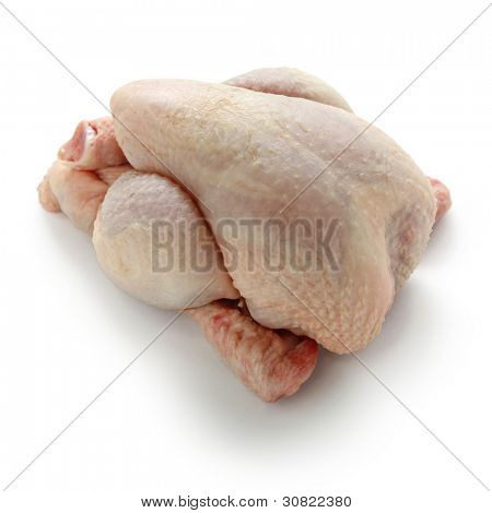 Poussin, jonge kip