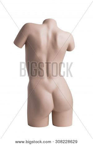 Female Nude Mannequin Without Hands, Feet And Head On White Background. Back View