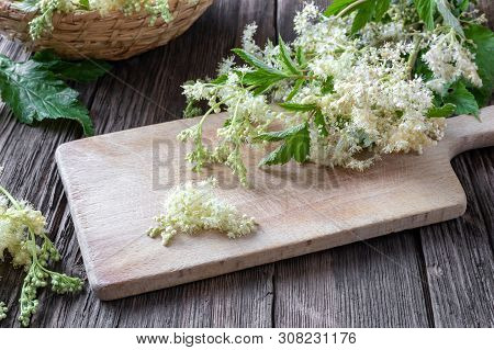 Meadowsweet Blossoms On A Cutting Board On A Table