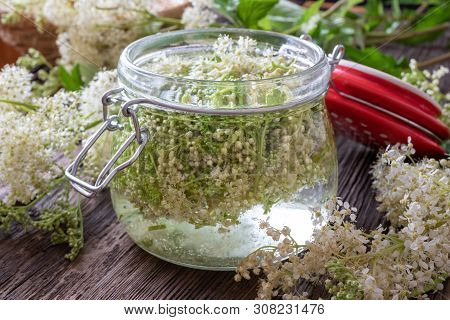 A Jar Filled With Meadowsweet Blossoms And Alcohol, To Prepare Homemade Tincture