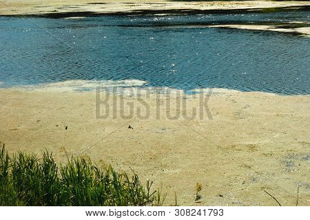 Blue River Water With Green Duckweed Lemna Plants. Ecology Problems Or Wildlife Nature Landscape