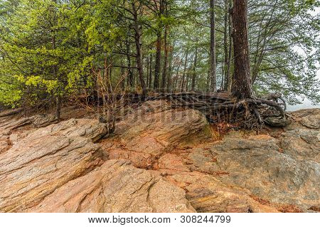 Tree Roots And Boulders Exposed Along The Shoreline By Erosion Caused By A Drought At The Lake