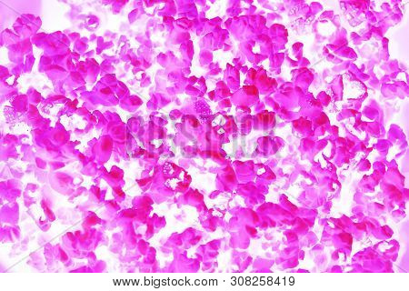 Creative Fashion Concept With Flying Neon Red Popcorn On White Background. Levity Food.