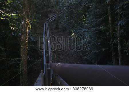 An Oil Pipe Running Through The Tropical Rainforest