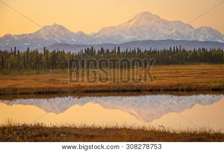 Sunrise Colors Above Mt. Mckinley From Petersville Road In Alaska