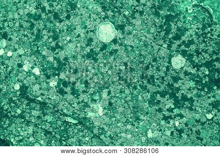 Vintage Green Background. Rough Painted Wall Of Emerald Color. Imperfect Plane Of Virid Colored. Une