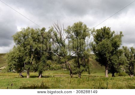 The Surroundings Of The Taiga Village Of Generalka Altai Region