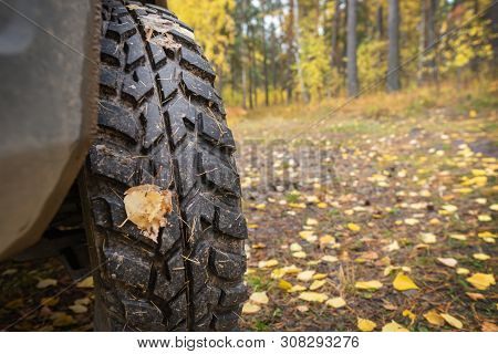 Mud Tires, Autumn Background, Travel. Close Up, Copy Space
