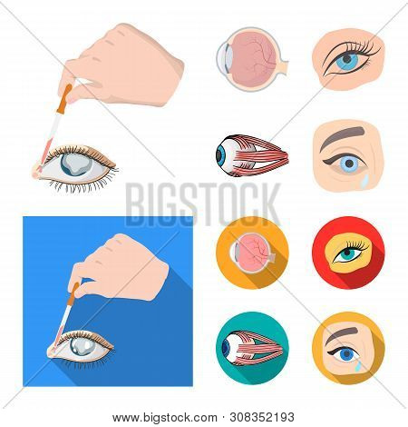 Vector Design Of Medical And Eyeball Symbol. Collection Of Medical And Optical Stock Vector Illustra