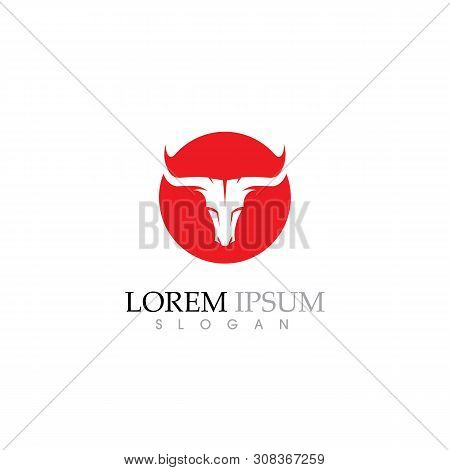 Cow Logo Template Vector Icon