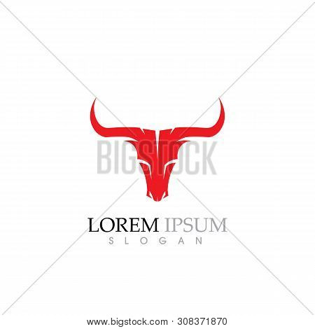 Cow Logo Template Vector Icon