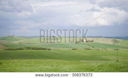 A Fresh Green Field In Toskana, Italy