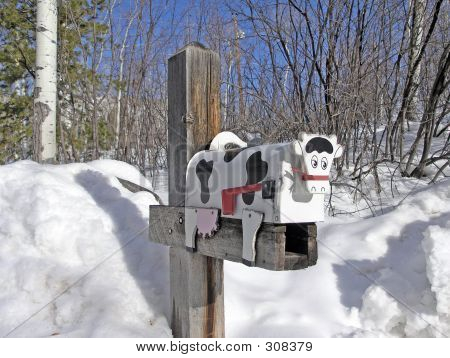 Kuh Mail-box