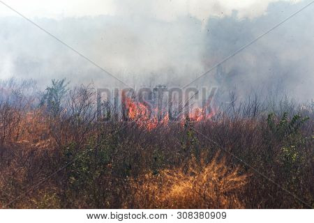 Strong Smoke In Steppe. Forest And Steppe Fires Destroy Fields And Steppes During Severe Droughts. F