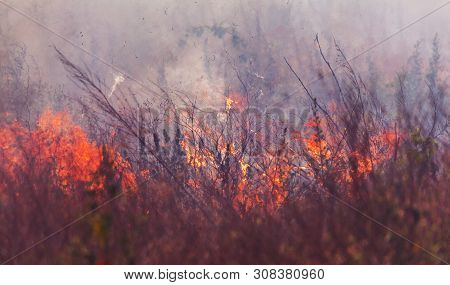 Strong Smoke In Steppe. Forest And Steppe Fires Destroy Fields And Steppes During Severe Droughts. F