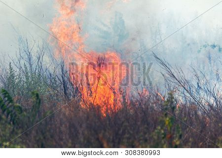 Strong Smoke In Steppe. Forest And Steppe Fires Destroy Fields And Steppes During Severe Droughts. F