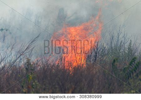 Strong Smoke In Steppe. Forest And Steppe Fires Destroy Fields And Steppes During Severe Droughts. F